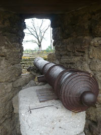 CETATEA ALBA UCRAINA